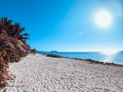 Une plage de sable blanc bordée de cocotiers et baignée de soleil