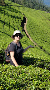 Une femme à chapeau et lunettes de soleil est au centre d'une plantation de thé